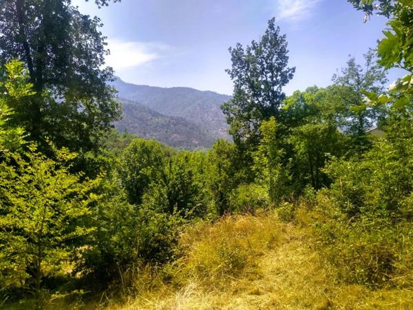 Un rêve qui devient réalité, un projet à concrétiser.