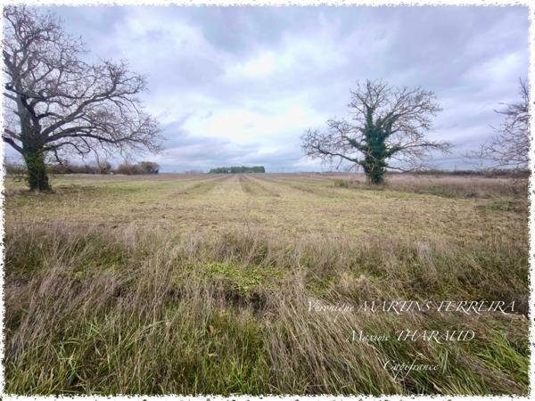 🏡 Terrain 760 m² – Marmagne (18500)