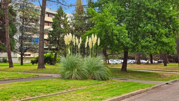 Appartement 2 pièces PESSAC (33) Quartier Le Pontet