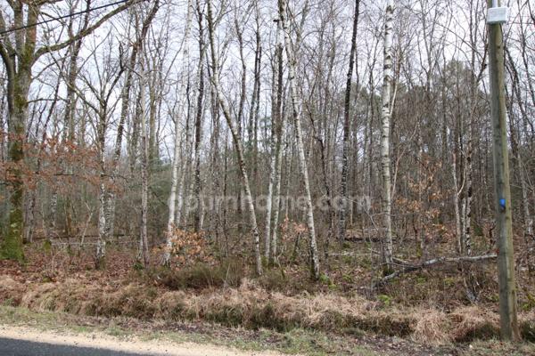 Ménétréol sur sauldre, parcelles de bois pour 3ha74ca