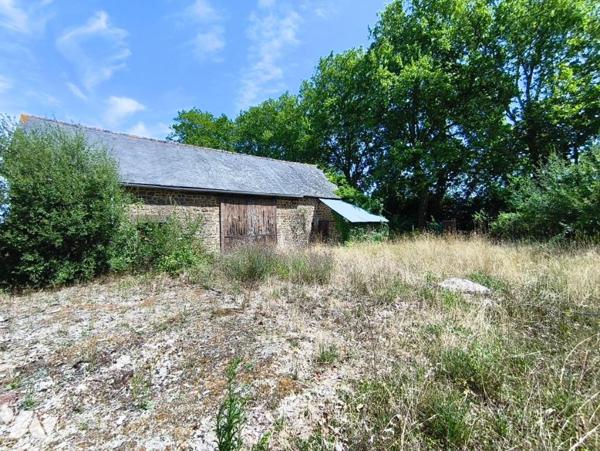 Ensemble immobilier - CEAUCE