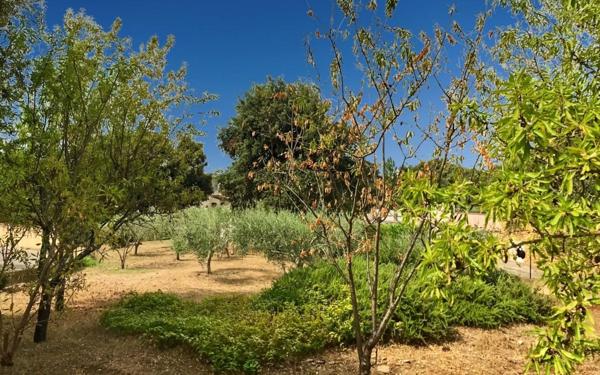 Maison à vendre    5 pièces •  Castillon-du-Gard