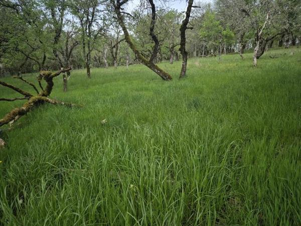 Terrain à vendre |  Peyrillac-et-Millac |  7010 m²