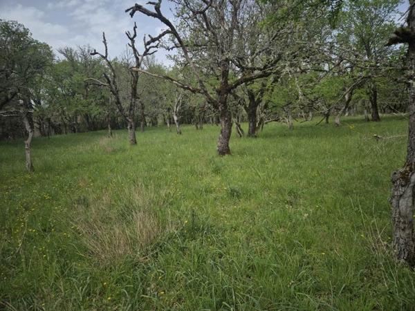 Terrain à vendre |  Peyrillac-et-Millac |  7010 m²