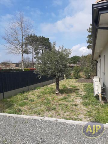 Location maison Andernos Les Bains : 2 393 € - AJP Immobilier Andernos les Bains