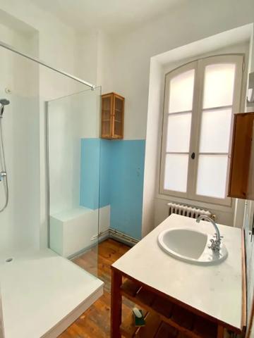 Bordeaux historique vaste appartement à usage mixte