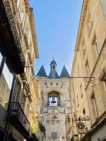Bordeaux historique vaste appartement à usage mixte