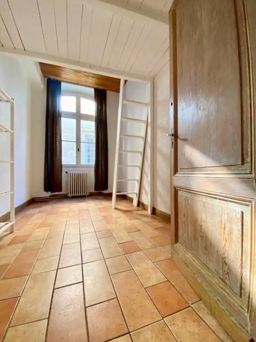 Bordeaux historique vaste appartement à usage mixte