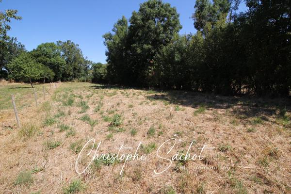 Situé à Fors 79230 très jolie parcelle à bâtir, plane et entourée de haies vives