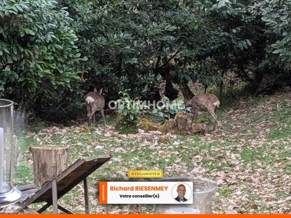 2 Chalets 3 pièces 42m² camping SAINT CHERON (91)