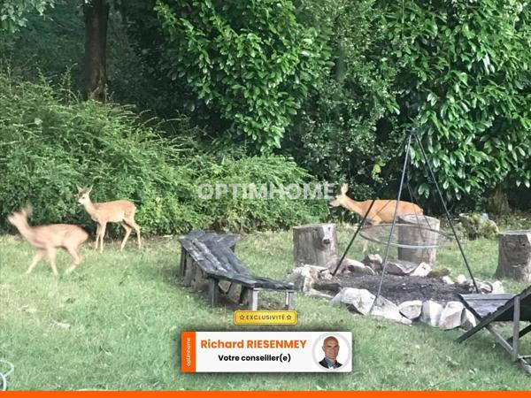 2 Chalets 3 pièces 42m² camping SAINT CHERON (91)
