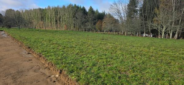 Terrain à vendre de 881,00 m² LE PALAIS SUR VIENNE (87)