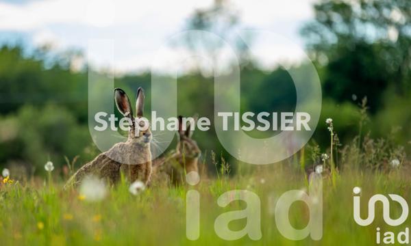 Terrain à vendre 2 892 m² Blanzy