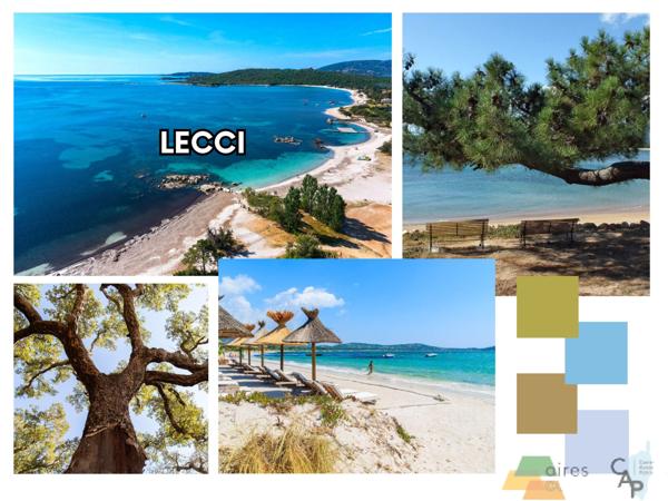 Lecci (20137) Investissement Idéal en Corse : T2 Moderne avec Terrasse, Piscine & Prestations Premium à Porto-Vecchio