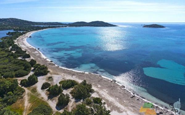 Lecci (20137) Investissement Idéal en Corse : T2 Moderne avec Terrasse, Piscine & Prestations Premium à Porto-Vecchio