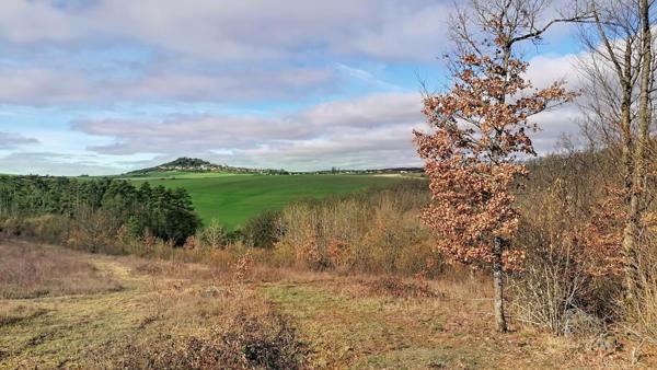 Terrain de 6.3 hectares