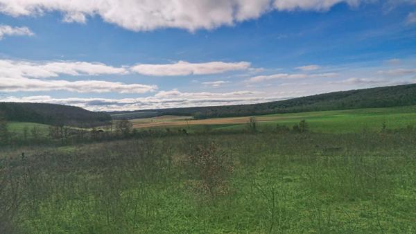 Terrain de 6.3 hectares