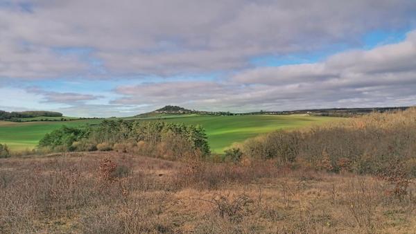 Terrain de 6.3 hectares