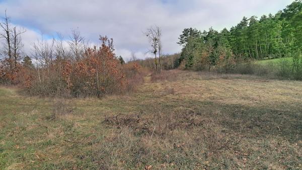 Terrain de 6.3 hectares