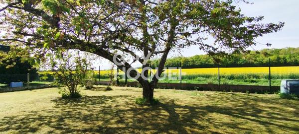Maison à vendre à Chécy - 5 pièces avec jardin
