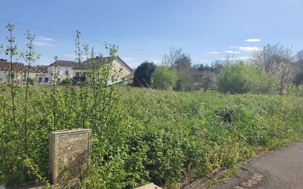 Terrain à vendre    Bellocq