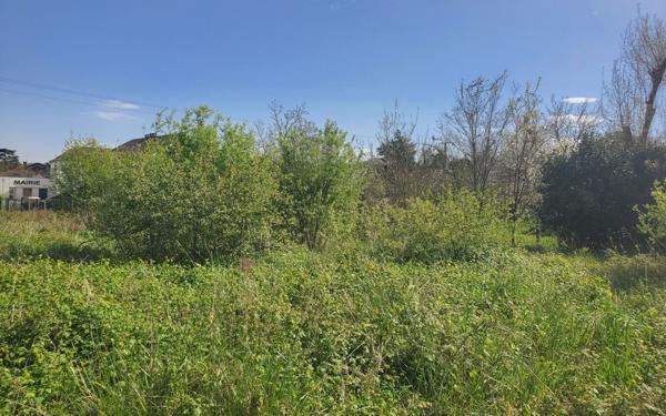 Terrain à vendre    Bellocq