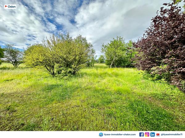 Oslon (71380) Maison 100 m² | 6308 m² de terrain