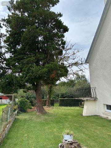 Achat - Maison | Maison individuelle Langolen 29510 7 pièces 110 m 2 1347 m 2