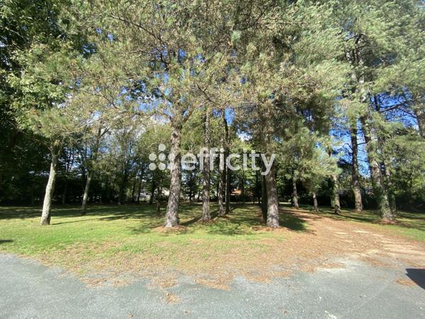 Maison 8 pièces - 233 m² Exclusivité efficity