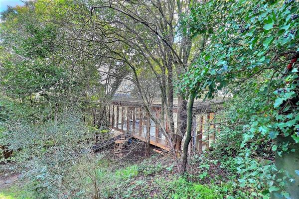 Maison contemporaine ossature bois ? Écrin de verdure ? Centre-ville Alès ? Extension possible