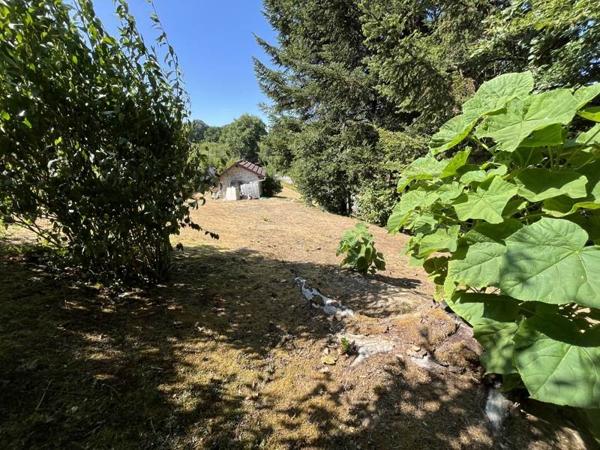 Terrain 29 999 € Chaptelat 381 m² DPE