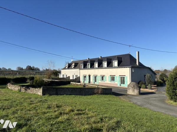 Ensemble immobilier - 400m² / Saint-Laurent-Du-Mottay