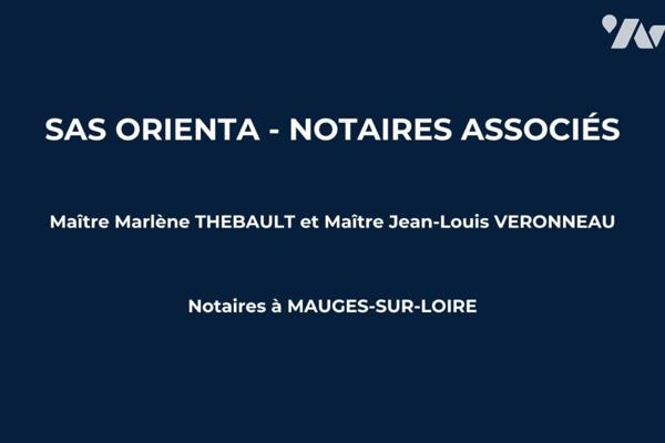 Ensemble immobilier - 400m² / Saint-Laurent-Du-Mottay