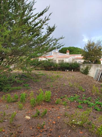 Terrain Barbatre 300 m2