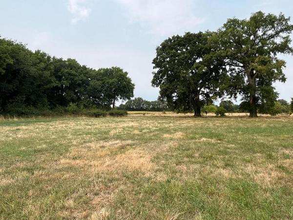 Maison de plain pied de 105 m2 à Fleuré , 2 chambres , grand terrain, garage, atelier ,appentis