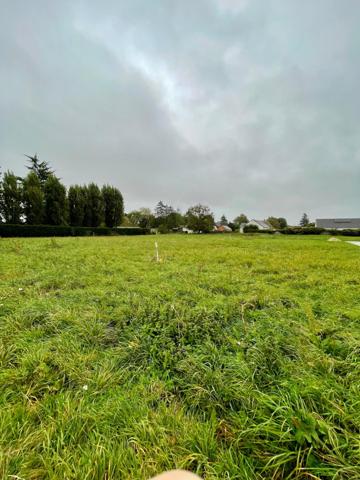 Terrain plat constructible viabilisé