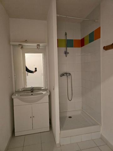 Appartement Provins 35 m2 avec terrasse + parking