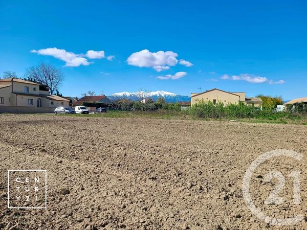 Terrain à vendre  1501 m 2   ARLES SUR TECH  - 66