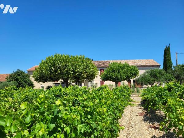 Ferme entourée de plus de 10 hectares de vignes 