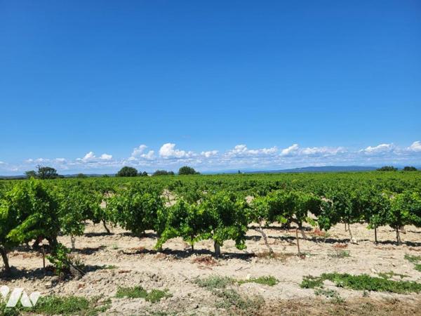 Ferme entourée de plus de 10 hectares de vignes 