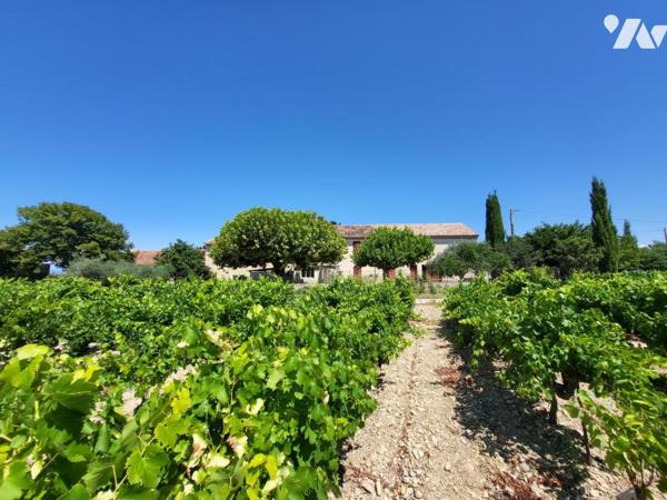 Ferme entourée de plus de 10 hectares de vignes 