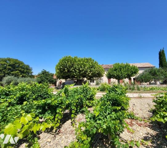Ferme entourée de plus de 10 hectares de vignes 