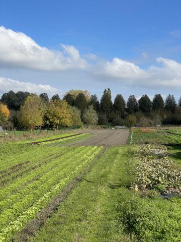 Amiens (80080) Maison avec 3 chambres, sur terrain d’environ 10 000 m²