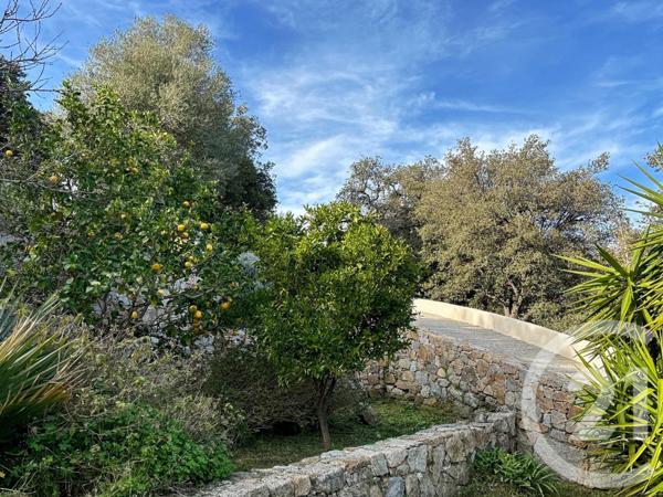 Maison à vendre  9 pièces - 230 m2 MONCALE - 202