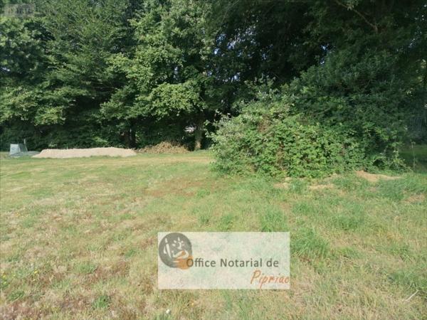 Terrain à Batir à vendre à Pipriac en Ille-et-Vilaine (35550), ref : 1006586-3