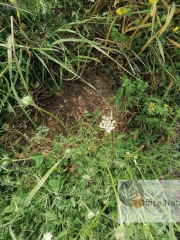 Terrain à Batir à vendre à Pipriac en Ille-et-Vilaine (35550), ref : 1006586-3