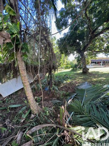 Terrain à vendre 2 007 m² Baie-Mahault