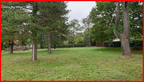 Vente terrain Guemene Penfao : 98 500 € - AJP By Marie