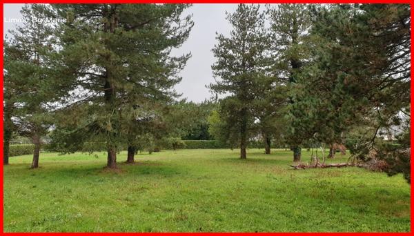 Vente terrain Guemene Penfao : 98 500 € - AJP By Marie