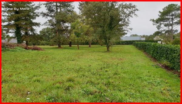 Vente terrain Guemene Penfao : 98 500 € - AJP By Marie